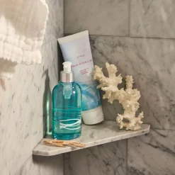 Aqua Coralline Body Scrub