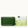 Eucalyptus Bar Soap