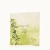 Eucalyptus Bath Salts Envelope