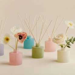 Eucalyptus Petite Reed Diffuser