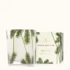 Frasier Fir 13 oz Pine Needle Poured Candle