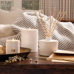 Frasier Fir Ceramic Medium Candle