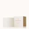 Frasier Fir Ceramic Petite Candle