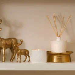 Frasier Fir Ceramic Reed Diffuser