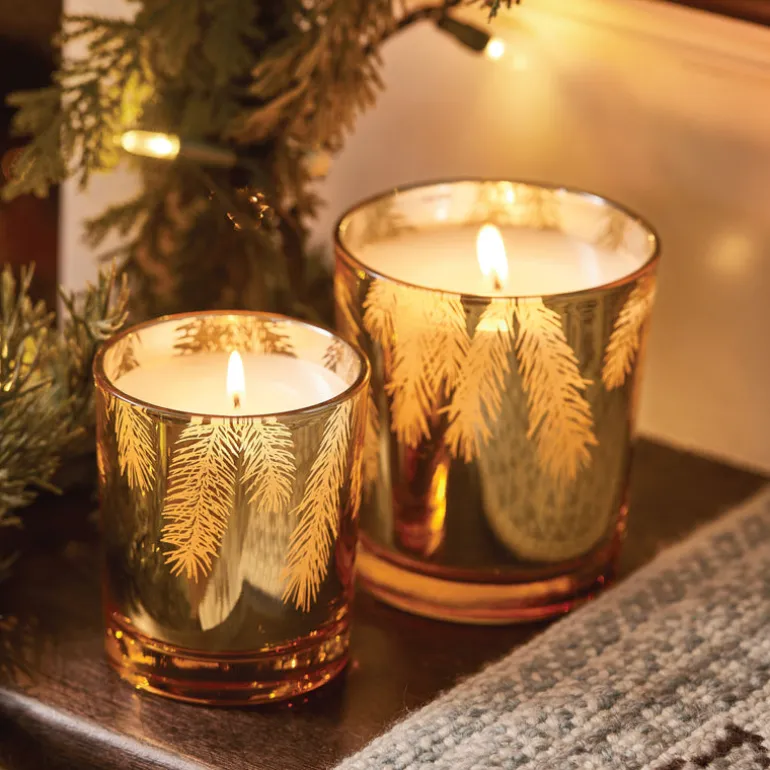 Frasier Fir Gilded 13 oz Poured Candle