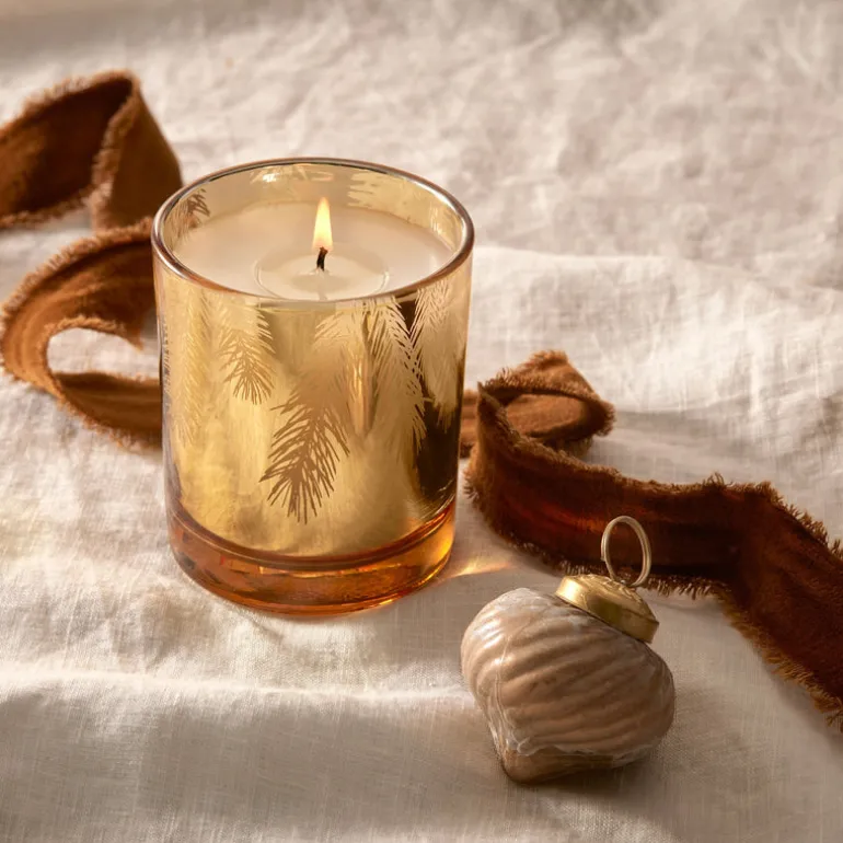 Frasier Fir Gilded Gold Poured Candle