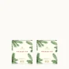 Frasier Fir Pura Car Pro Diffuser Refill 2-Pack Bundle