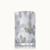 Frasier Fir Statement Medium Luminary Candle