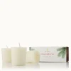 Frasier Fir Votive Candle Set