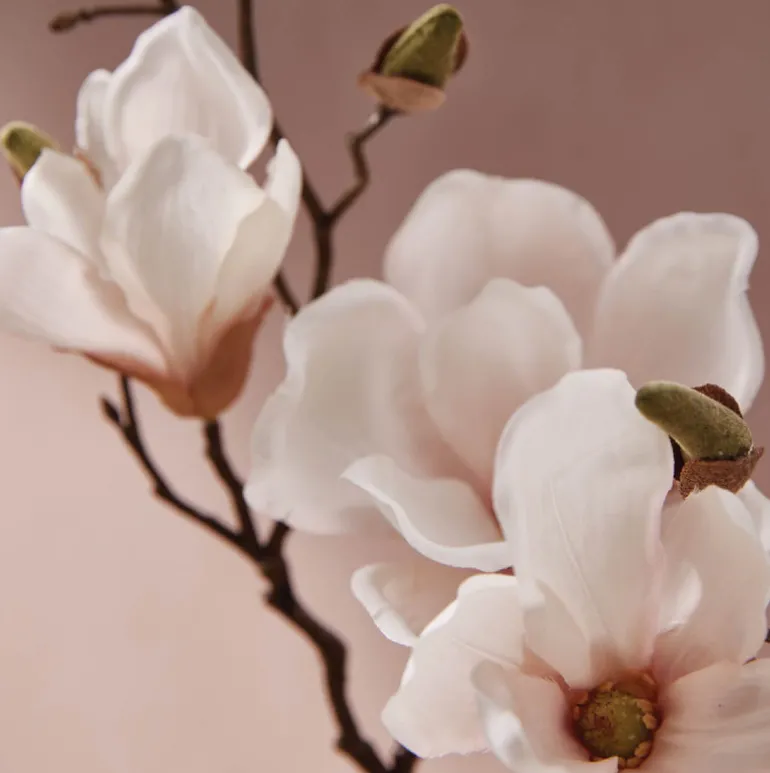 Magnolia Willow Countertop Spray