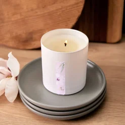 Magnolia Willow Poured Candle