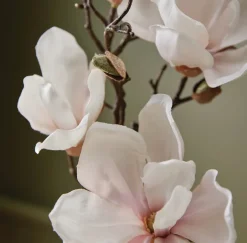 Magnolia Willow Reed Diffuser Oil Refill