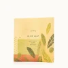 Olive Leaf Bath Salts Envelope