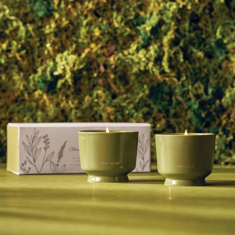 Outdoor Oasis Citronella Grove Aromatic Candle Set