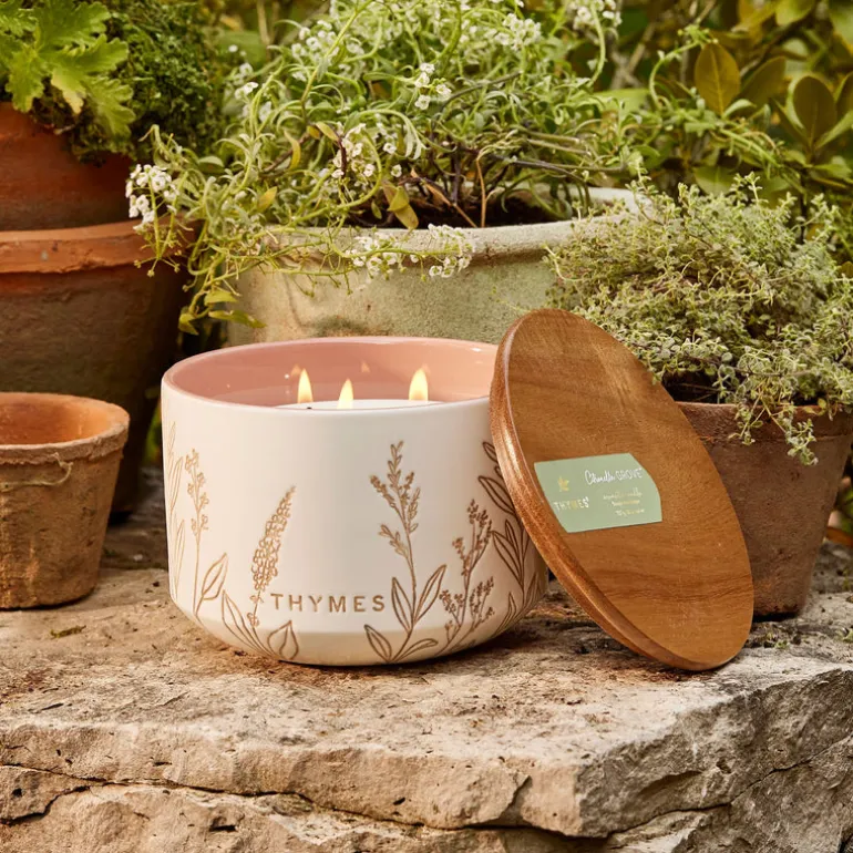 Outdoor Oasis Citronella Grove Large Candle