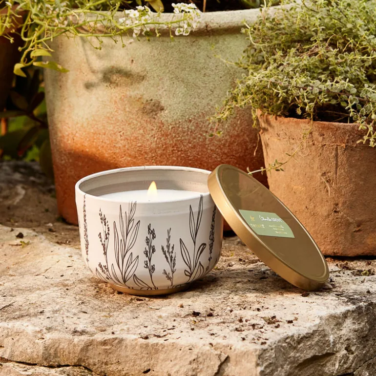 Outdoor Oasis Citronella Grove Poured Candle Tin with Gold Lid