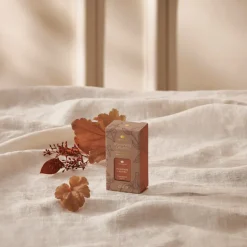 Pumpkin Laurel Pura Diffuser Refill 2-Pack Bundle