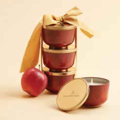 Simmered Cider Candle Tin with Gold Lid