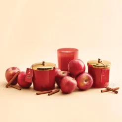 Simmered Cider Harvest Red Poured Candle