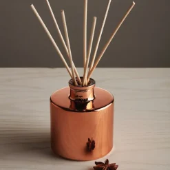 Simmered Cider Petite Reed Diffuser
